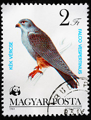 Image showing HUNGARY - CIRCA 1983: A Stamp printed in Hungary shows image of 