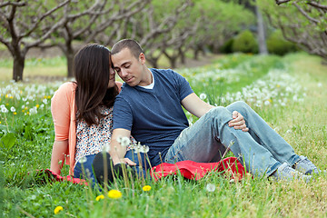 Image showing Affectionate Couple Together on Picnic Blanket