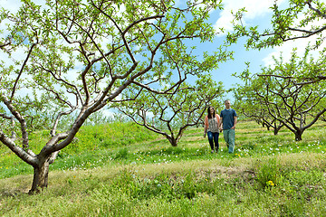 Image showing Couple Holding Hands Walking Outdoors