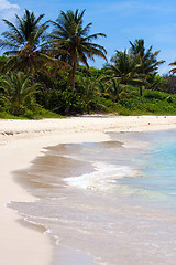 Image showing White Sand Puerto Rico Beach