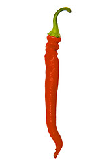 Image showing Chili pepper