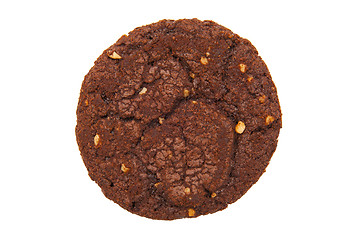 Image showing Cookie