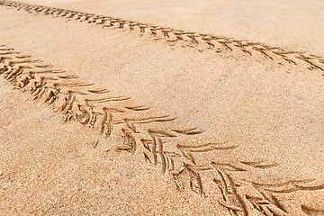 Image showing Quad traces on the beach sand