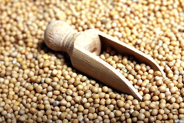 Image showing mustard grains