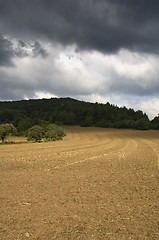 Image showing Harvested