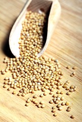 Image showing mustard grains