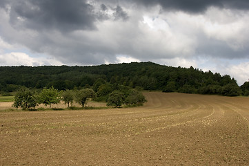 Image showing Harvested