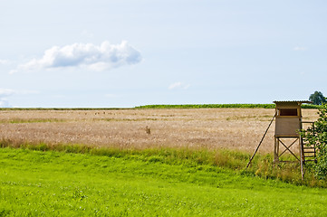 Image showing hunting stand