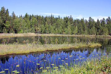 Image showing Small Marshland Lake in Finland