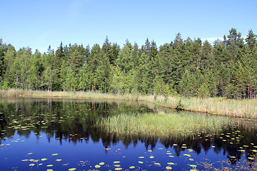 Image showing Small Marshland Lake in Finland