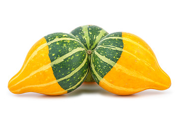 Image showing Three yellow-green fancy pumpkins