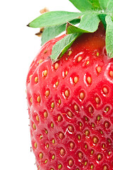 Image showing Strawberry