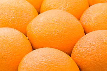 Image showing Oranges