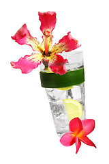 Image showing Tropical Cocktail