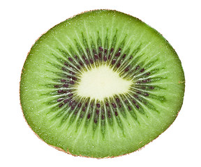 Image showing Kiwi