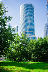 Image showing skyscraper and Nature
