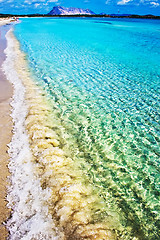 Image showing perfect beach