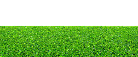 Image showing Green field