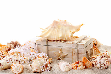 Image showing Seashells and treasure chest