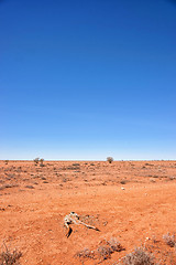 Image showing australian red desert