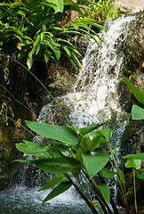 Image showing waterfall cascade