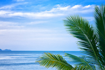 Image showing palm leaves and the sea