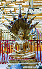 Image showing gold buddha statues