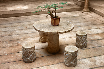 Image showing bonsai plant on table