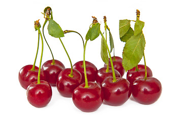 Image showing Cherries