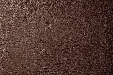 Image showing brown leather