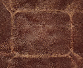 Image showing Brown leather