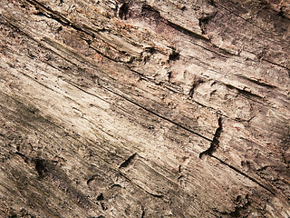 Image showing Wood texture