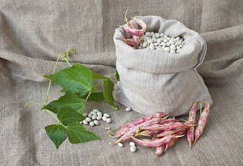 Image showing Beans in  the sack