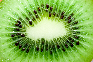 Image showing Fresh kiwi