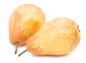 Image showing Pear