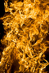 Image showing Fire