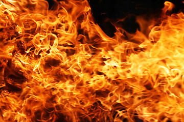 Image showing Fire