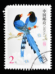 Image showing CHINA - CIRCA 2002: A Stamp printed in China shows image of two blue birds, circa 2002