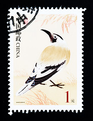 Image showing CHINA - CIRCA 2002: A Stamp printed in China shows image of a wild bird, circa 2002