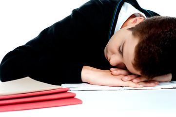 Image showing Bored student sleeping during a lecture