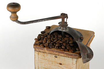 Image showing Coffe beans and  grinder  # 02