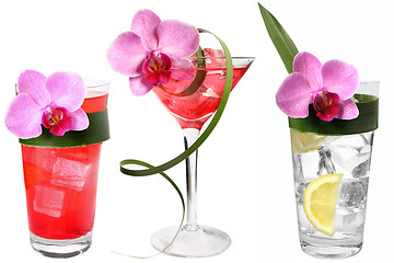 Image showing Three Tropical Drinks