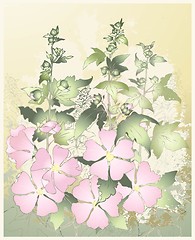 Image showing Pink flowers mallow with green leaves. Greeting card with mallow.