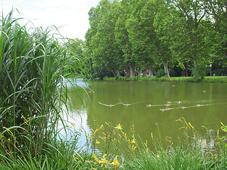 Image showing Gardens in Stuttgart, Germany