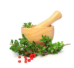 Image showing Ñowberry, mortar and pestle isolated - alternative medicine and 