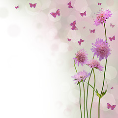 Image showing Blossom background - blurred floral border with flowers and butt