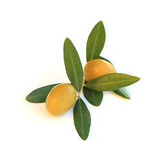 Image showing Olive isolated on white background