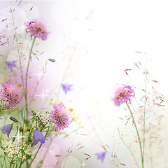 Image showing Beautiful pastel floral border beautiful blurred background (sha