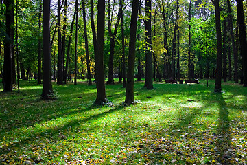 Image showing Green Park