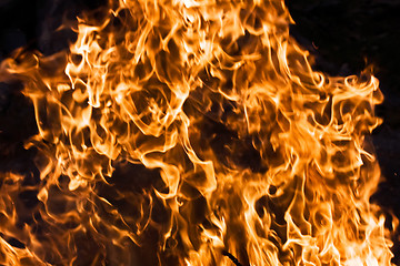 Image showing Fire